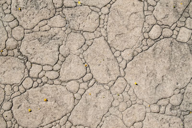 Decorative Concrete Repair in Rockwall, TX